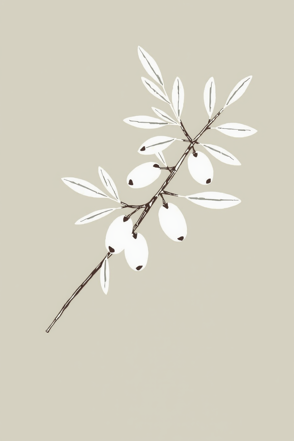 Doodle Style Olive Branch Drawing