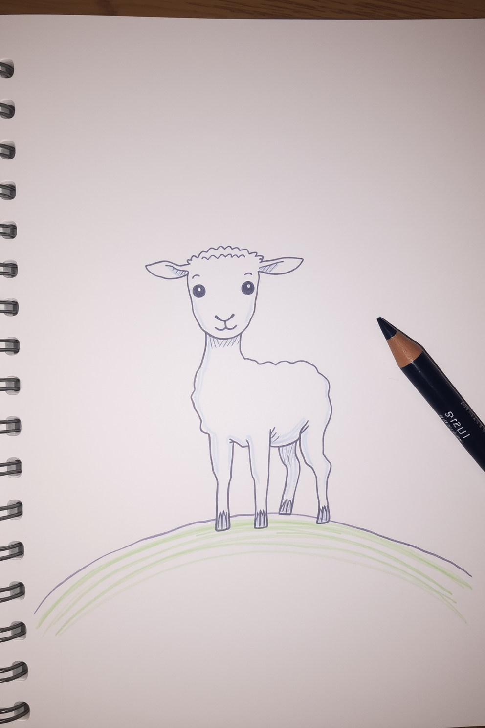 Doodle of a Lamb on a Green Hill Drawing