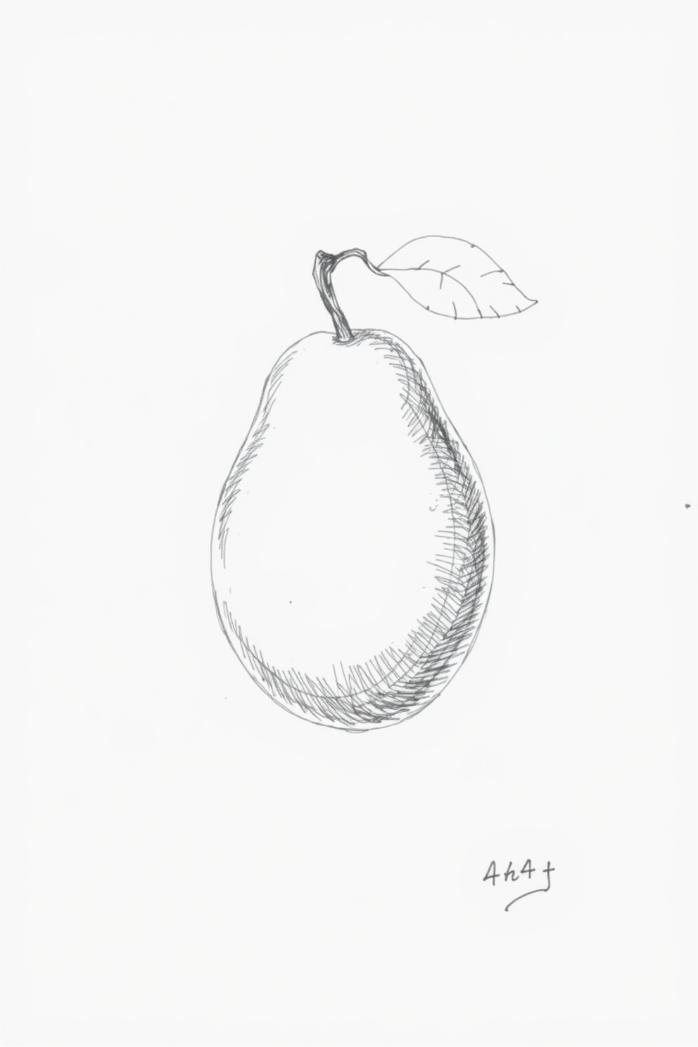 Fruit drawing