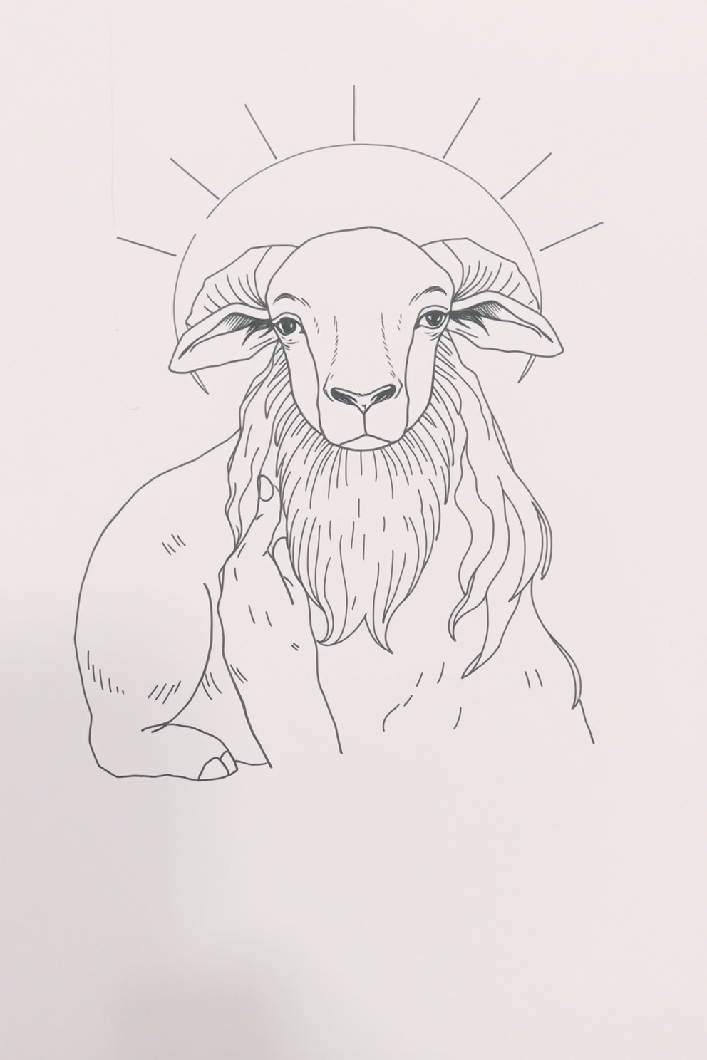 Lamb of God Line Drawing