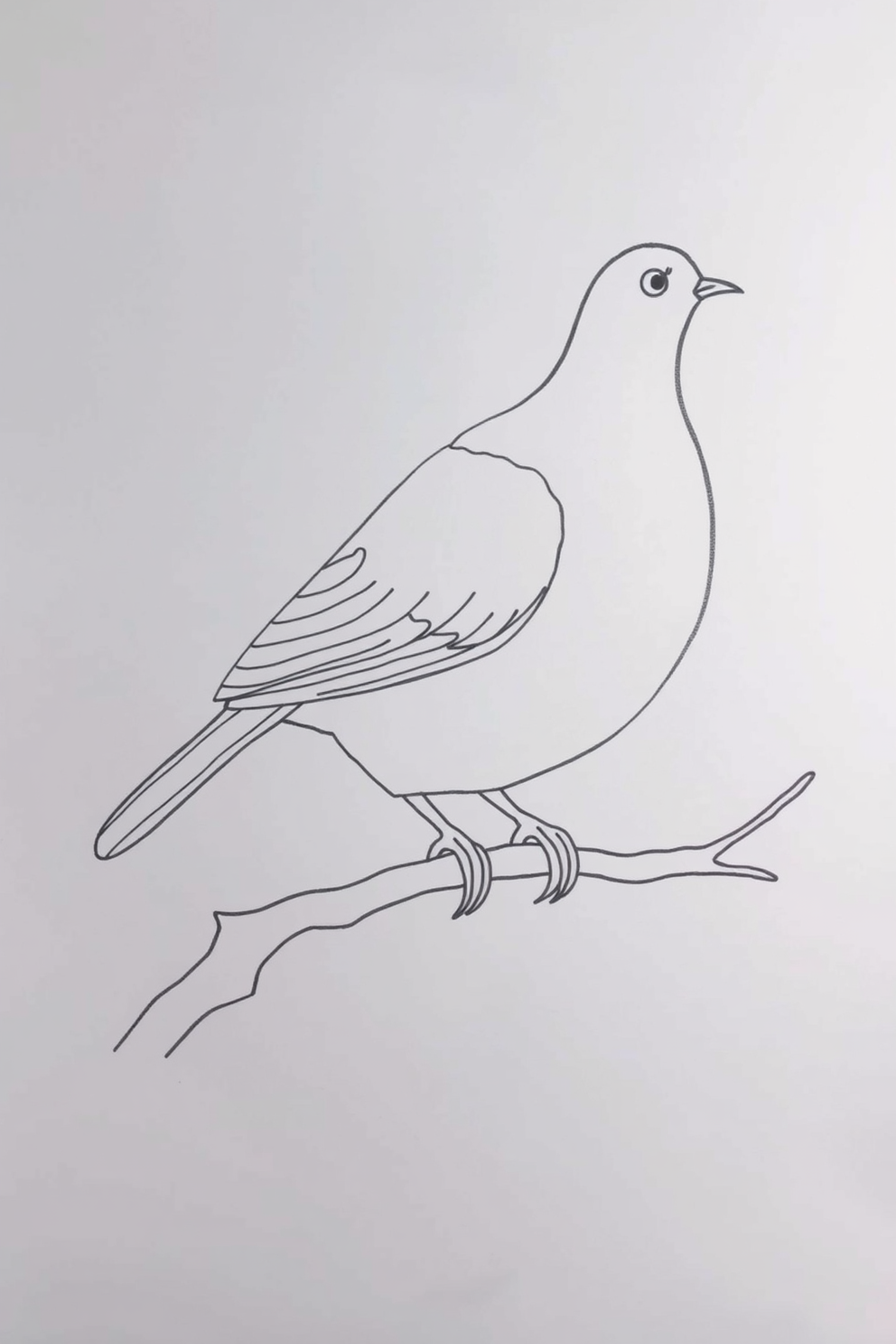 Monoline Dove Drawing