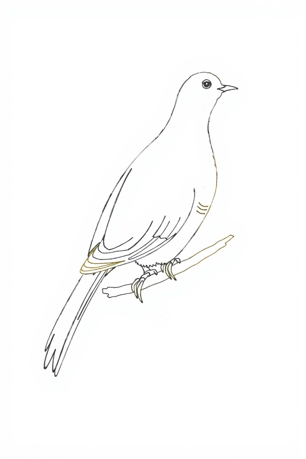 Monoline Dove Drawing