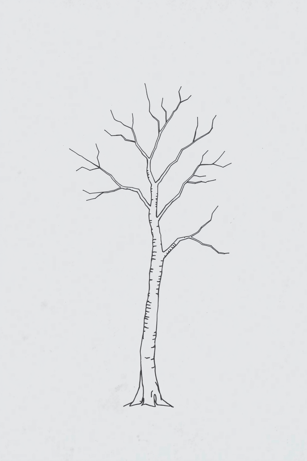 Monoline Drawing of a Tree with Three Branches