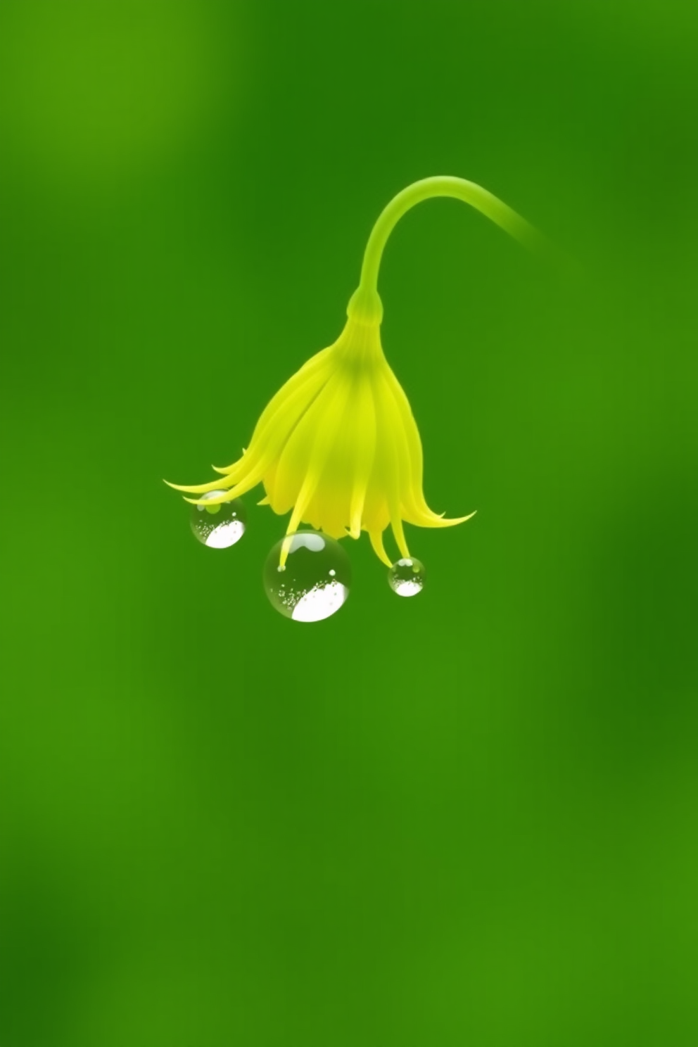 Simple Mustard Seed With Raindrops Drawing