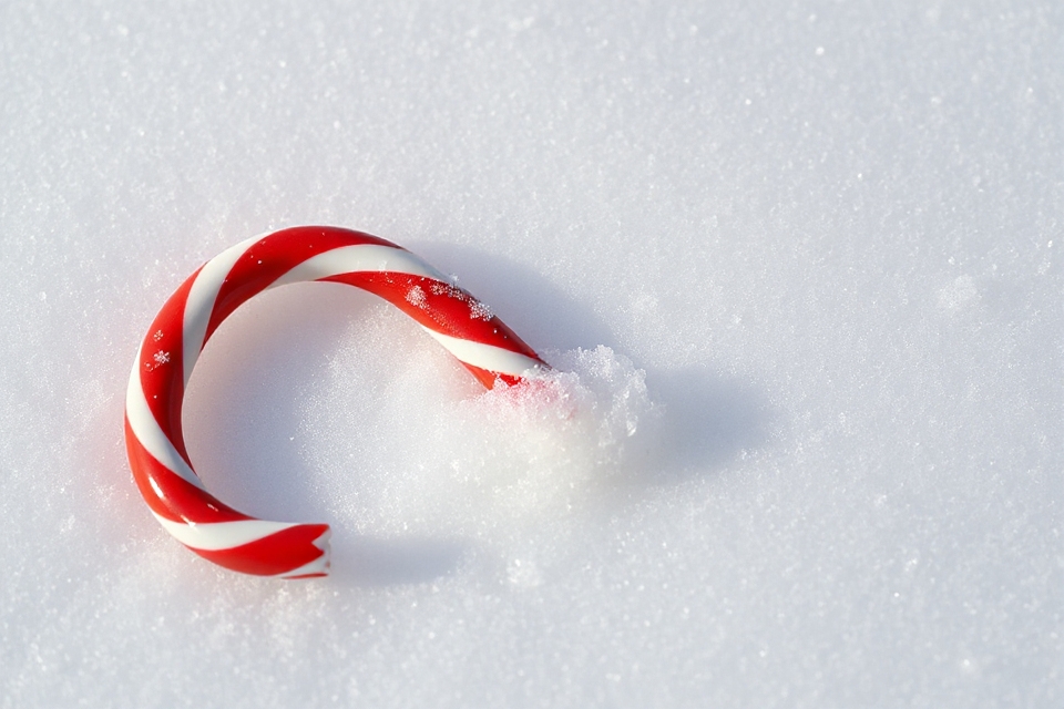 candy cane on snow